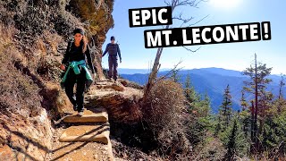 Our Favorite Smoky Mountains Hike  Alum Cave Trail to Mount LeConte  SMNP [upl. by Eedrahc]