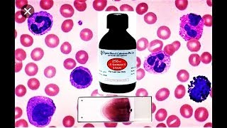 Blood Smear Preparation amp Staining [upl. by Akamaozu]