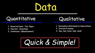 Qualitative and Quantitative [upl. by Aisanat963]