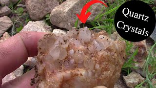 Digging Quartz Crystals  We Found The Source [upl. by Saxela]