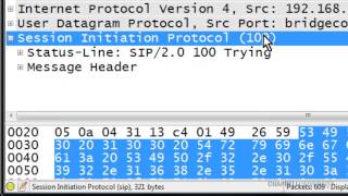 Detect SIP Errors with Wireshark [upl. by Suoirred]