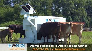 Hanen Automatic Livestock Feeders [upl. by Brenza992]