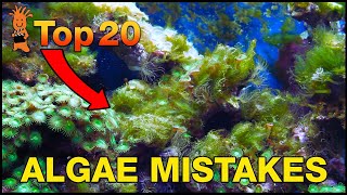 Cant beat algae in your tank This is probably why Top 20 Algae Fighting Mistakes [upl. by Nasas]