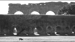 La Fisica degli Acquedotti Romani [upl. by Atterehs]