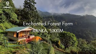 Homestays in Sikkim  Enchanted Forest Farm [upl. by Sethrida]