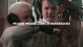 Zumo de mandrágora —PiterG LETRA Drarry [upl. by Villada]