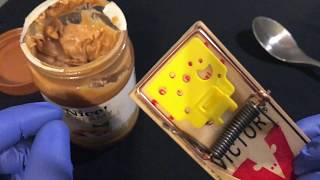 How to Set a Mouse Trap with Peanut Butter [upl. by Maccarthy]