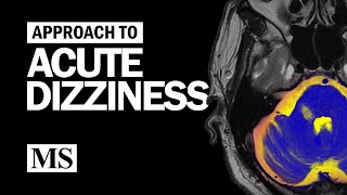 Approach to Acute Dizziness [upl. by Hux]