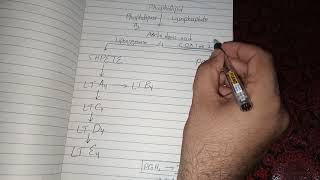 Arachidonic Acid Metabolism and Function [upl. by Ajay]