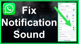 How To Fix WhatsApp Notification Sound EASY [upl. by Eniarrol]