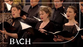 Bach  Motet Singet dem Herrn ein neues Lied BWV 225  MacLeod  Netherlands Bach Society [upl. by Aryajay657]