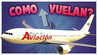 ¿Cómo hace un avión para volar [upl. by Baten]