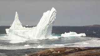 Gigantic iceberg in Greenland collapsing in Disko Bay [upl. by Auqinahs]