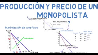 Monopolio  Cap 20  Microeconomía [upl. by Bobbe]