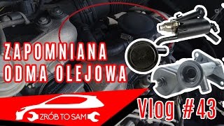 Odma olejowa objawy  diagnoza  omówienie Vlog 43 [upl. by Nicoli]