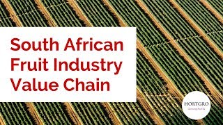 South African Fruit Industry Value Chain [upl. by Natelson]