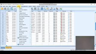 How to do Correlation analysis for likert scale data in SPSS  Amharic ኮሪሌሽን አማረኛ ቲሪያል [upl. by Okun]