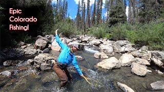 The TOP 10 fishing spots in Colorado  McFly Angler Fly Fishing [upl. by Hayne282]