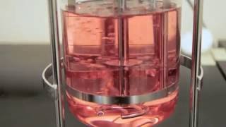 The Impact of Sparging on Cell Culture in Bioreactors – Two Minute Tuesday Video [upl. by Cody856]