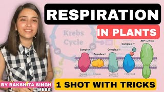 Respiration In Plants  Class 11 NCERT  One Shot  Best Biology Crash Course  Rakshita Singh [upl. by Nanor]