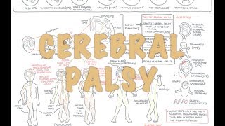 Cerebral Palsy  DETAILED Overview [upl. by Kahn242]