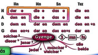 Karrierkod Jobb agyféltekés német tanulás melléknévragozás [upl. by Tina]