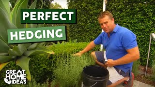 Perfect Hedging Made Easy for Beginners [upl. by Lleon171]