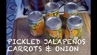 How I Pickled Jalapeños Carrots amp Onion [upl. by Nnylram424]