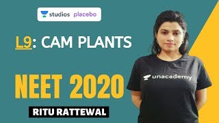 L9 CAM Plants  Photosynthesis Complete NCERT Review  NEET 2020 [upl. by Zared]