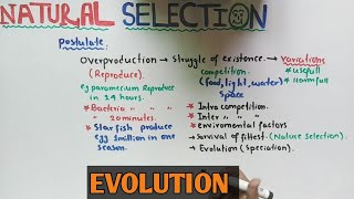 Natural selection theory  Darwin Theory  NMDCAT 2021 [upl. by Derag]