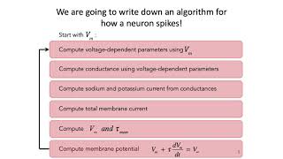 4 HodgkinHuxley Model Part 1  Intro to Neural Computation [upl. by Kcirtap930]