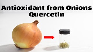 Extracting Quercetin from Onions [upl. by Morgana]