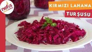 Kırmızı Lahana Turşusu  Turşu Tarifi  Nefis Yemek Tarifleri [upl. by Neira]