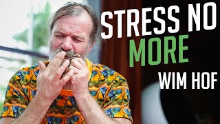 This Trick Reduce Stress Anxiety and Depression  Wim Hof [upl. by Inga]