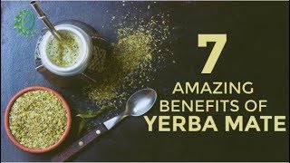 7 Reasons Why You Should Drink Yerba Mate Instead Of Coffee  Organic Facts [upl. by Novej]