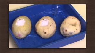 Potato experiment  Osmosis  Biology [upl. by Iolanthe]