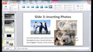 How to Create a Multimedia PowerPoint Presentation [upl. by Eittocs]