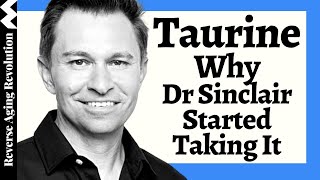 WHY Dr David Sinclair Added TAURINE To His Regimen amp His Dosage [upl. by Ednargel99]