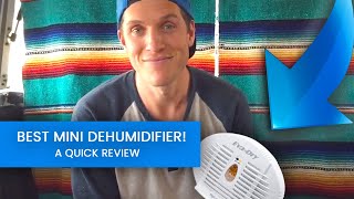 EvaDry Best Mini Dehumidifier Review How It Works [upl. by Leizar371]