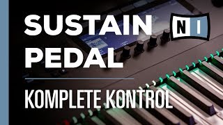 Sustain Pedal Setup  Komplete Kontrol [upl. by Sokairyk524]