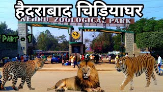 Nehru Zoological Park Hyderabad  हैदराबाद चिड़ियाघर  Part  1  Hyderabad Telangana [upl. by Ashlin949]