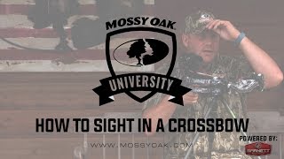 How To Sight In A Crossbow Scope [upl. by Anamuj]