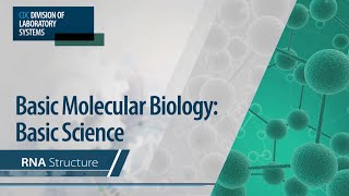 Basic Molecular Biology Basic Science – RNA Structure [upl. by Aemat969]