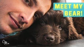 MEET MY BEAR PUPPY  Health Benefits of Having a Dog  Doctor Mike [upl. by Eimas]