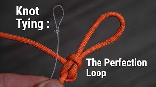 How To Add A Loop On Your Leader  How To Tie The Perfection Loop [upl. by Lockhart634]