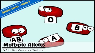 Multiple Alleles ABO Blood Types and Punnett Squares [upl. by Imeaj505]