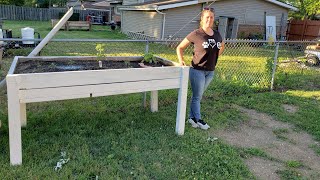 How To Build The Perfect Height Elevated Raised Bed [upl. by Camila]