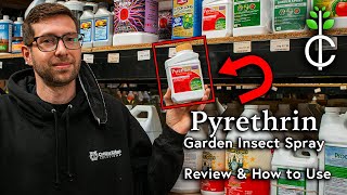 Pyrethrin Garden Insect Spray Review and How to Apply [upl. by Aihsetel]