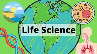 A Year of Life Science in 3 Minutes [upl. by Galloway]