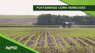 PostEmerge Weed Control In Corn From Ag PhD 1152  Air Date 5320 [upl. by Ecylahs]